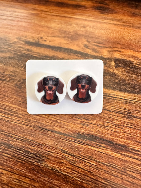 Sublimated Dachsund Acrylic Stud Earrings