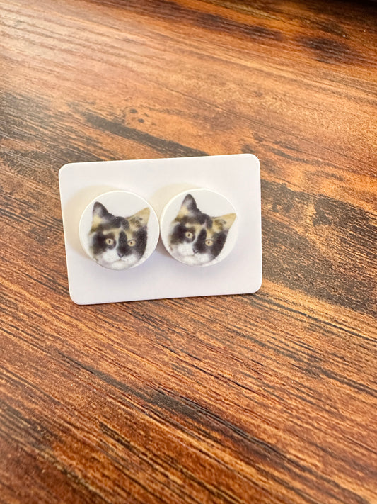 Sublimated Calico Cat Acrylic Stud Earrings