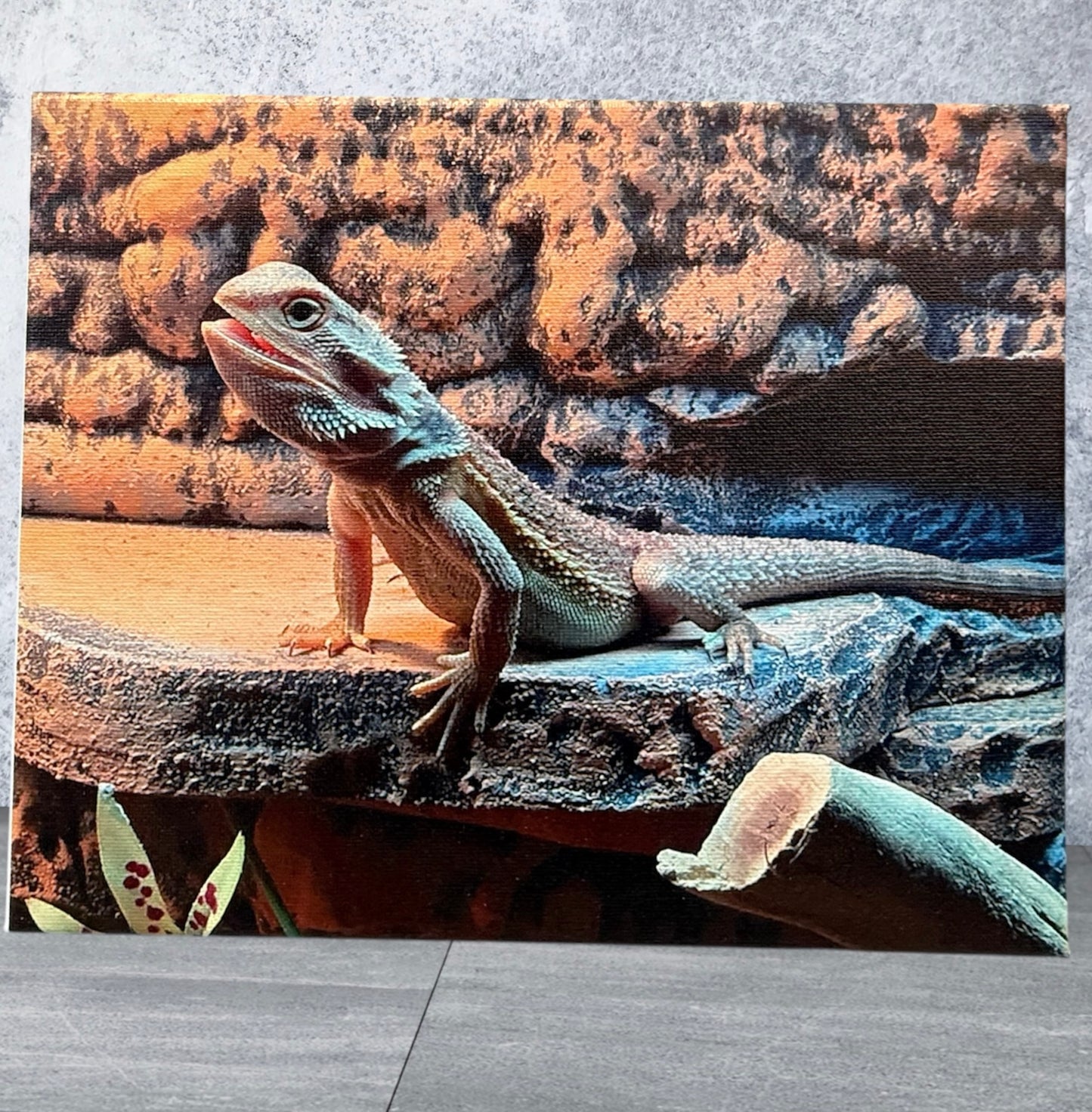 UV Printed Custom Canvas Photo 8x10